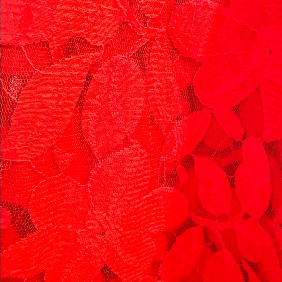 Scanlan Theodore Red Double Lace Skirt - Picture 2 of 5